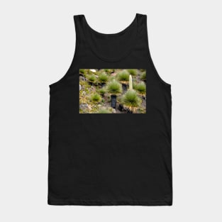 Pérou - Huaraz - Puya  Raymondii Tank Top